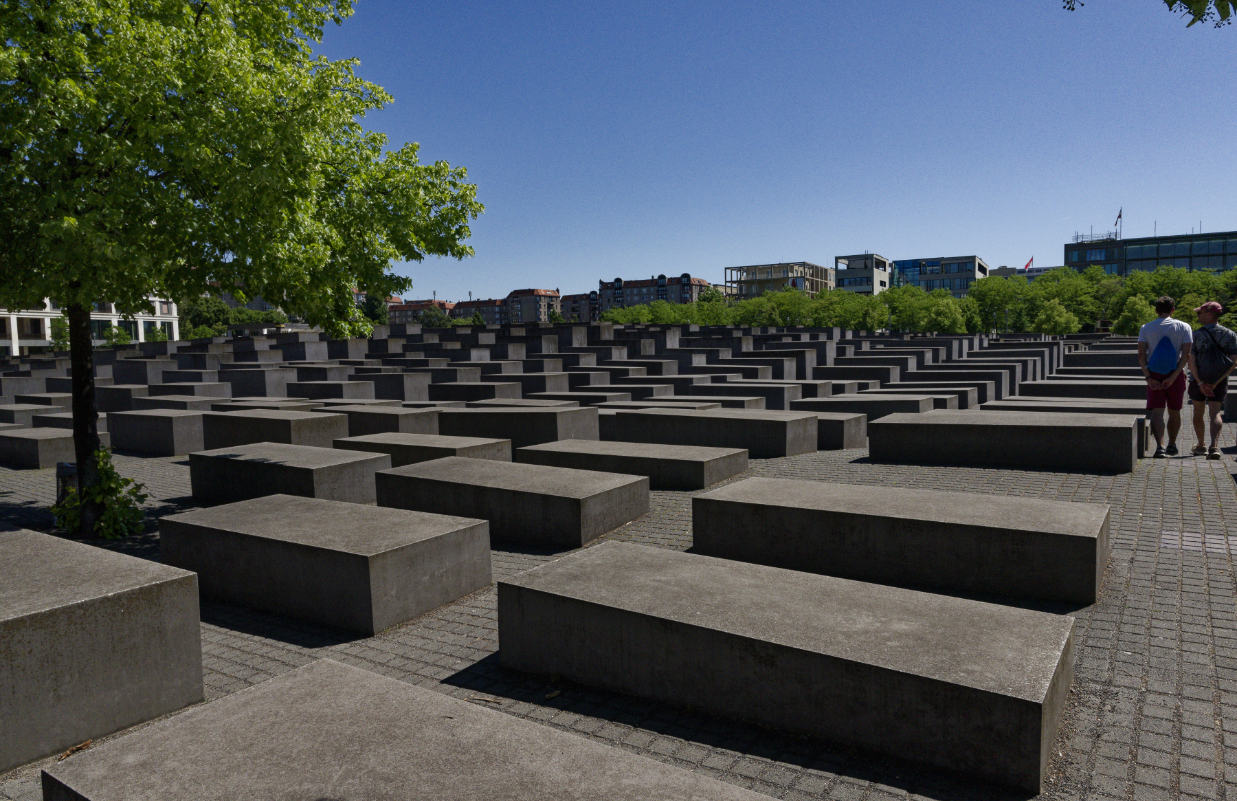 DSC8780_DxO