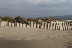 Berck-1234