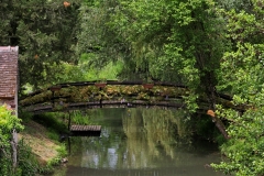 Rogny-7-Ecluses-IMG_3417-24