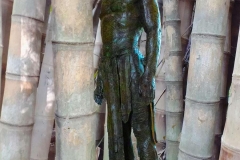CC3