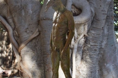 CC5