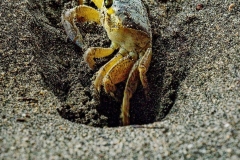 02_Expo_nov_2023_Macro-Proxy-10