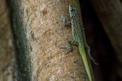 02_Expo_nov_2023_Macro-Proxy-11