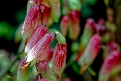 02_Expo_nov_2023_Macro-Proxy-5