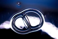 02_Expo_nov_2023_Macro-Proxy-7