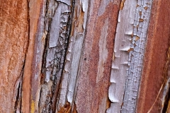 02_Expo_nov_2023_Macro-Proxy-8