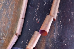02_Expo_nov_2023_Macro-Proxy-9