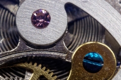Macro-13
