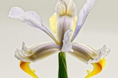 Macro-5