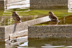 2010-08-Pologne-puis-Berlin-4-11