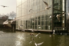 2012-02-22-Cite-des-sciences-08a