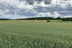 2022-06-06-Bord-de-Marne-11