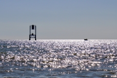 2022-07-27-La-Cote-sauvage-56a