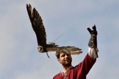 2023-09-28-Provins-112