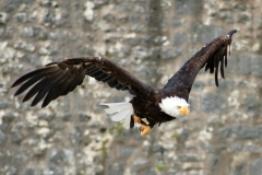 2023-09-28-Provins-141