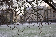 2024-01-18-Torcy-sous-la-neige13