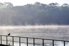 2025-05-13-etang-de-la-Loy1