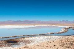 IMG_3968-1