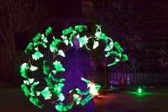 IMG_5645-1