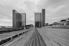 IMG_8278-5