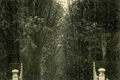 allee-des-marronniers-avant