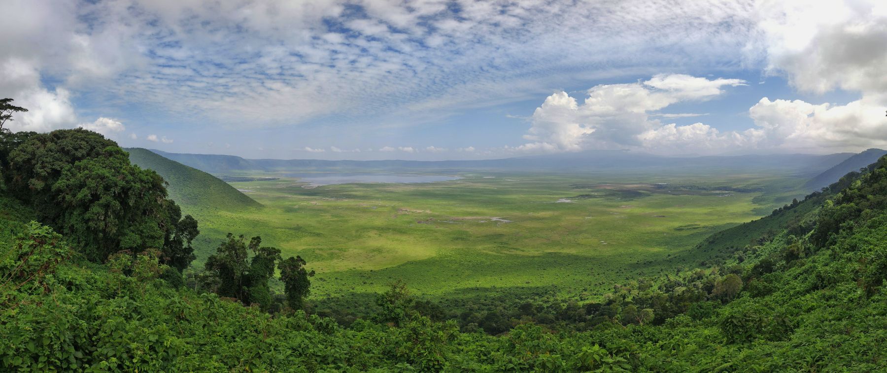 50-Ngorongoro