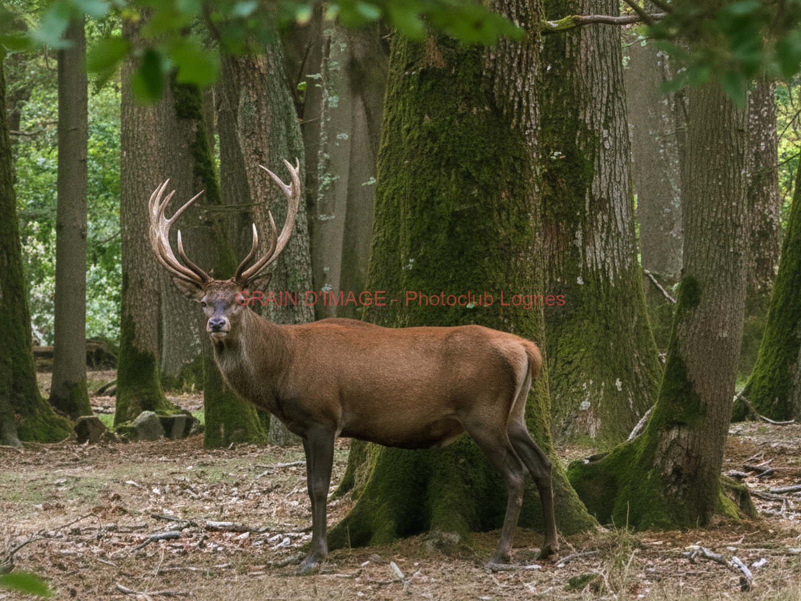 P1370260_ia_opt