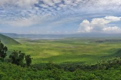 50-Ngorongoro